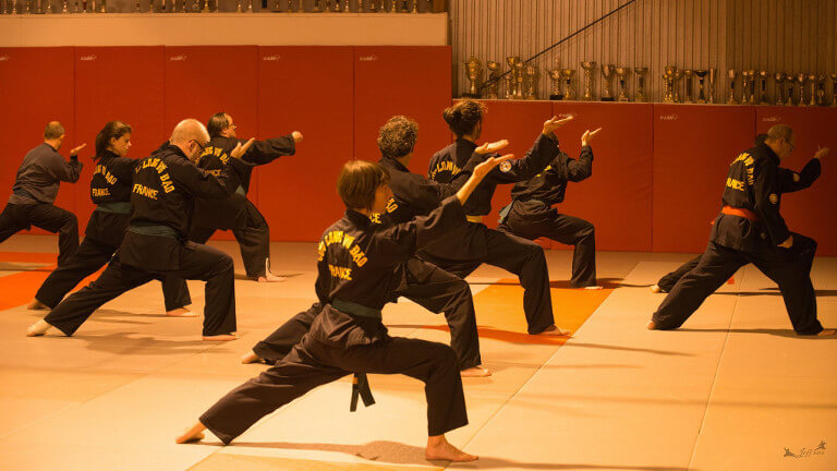 ACC Kung-Fu