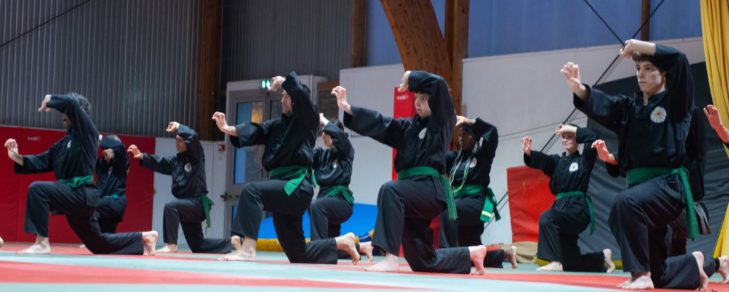 Cours de Kung-Fu sino-vietnamien et de Viet Vo Dao à La Chapelle-sur-Erdre